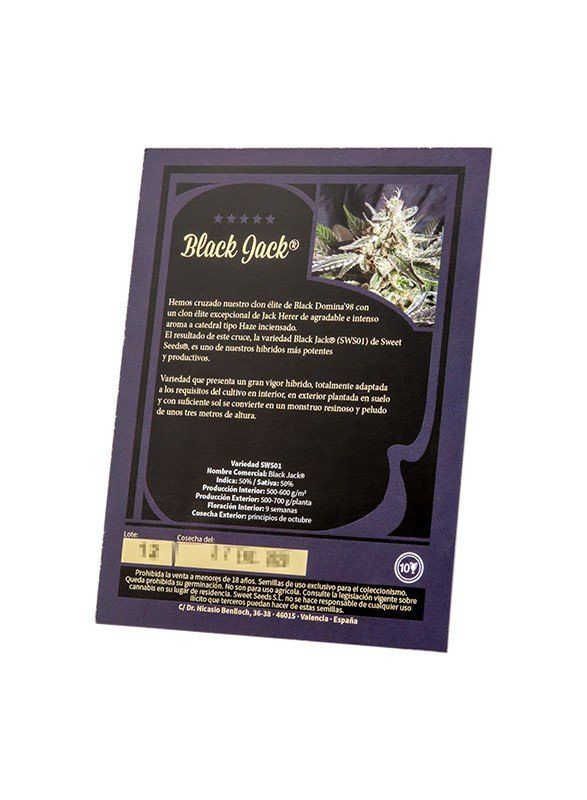 sweet-seeds-black-jack-4