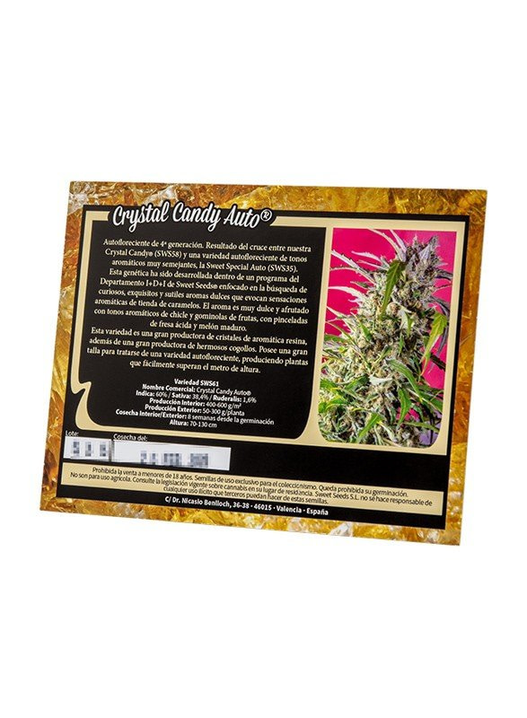 sweet-seeds-crystal-candy-auto-feminised-cannabis-seeds-5