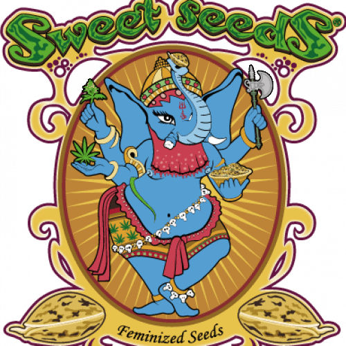 sweet-seeds-logo-1